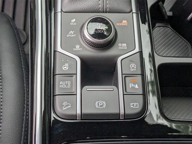 Photo of 2025 EVERLASTING SIL Kia Sorento