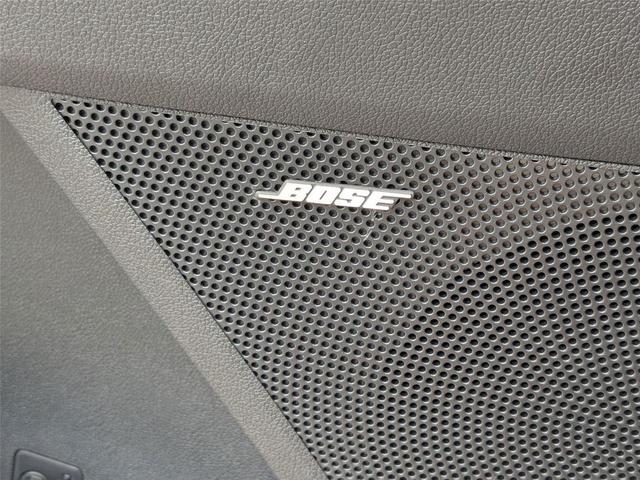 Photo of 2025 EVERLASTING SIL Kia Sorento
