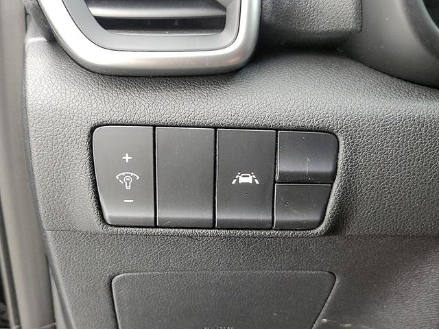 Photo of 2022 Black Kia Sportage