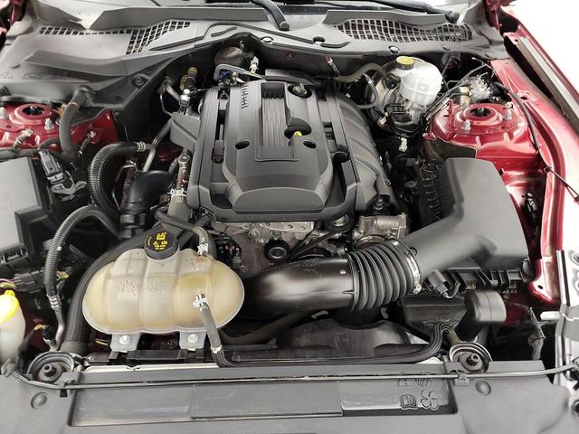 Photo of 2019 Red Ford Mustang