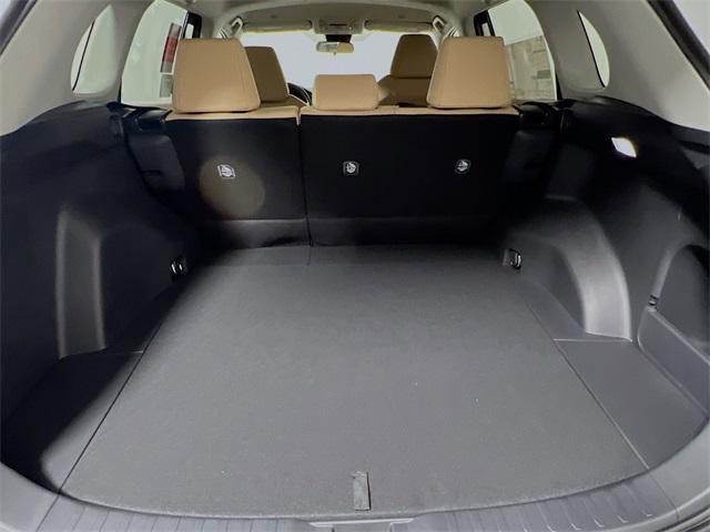 Photo of 2025 Ice Cap Toyota RAV4