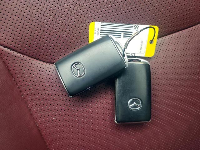 Photo of 2021 Gray Mazda CX-9
