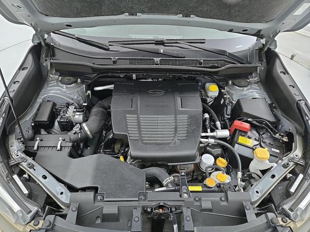 Photo of 2022 Green Subaru Forester