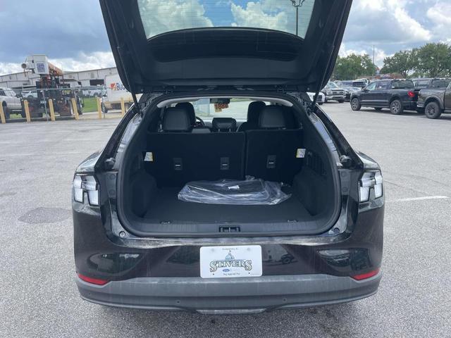 Photo of 2025 Shadow Black Ford Mustang Mach-E