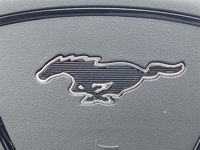 Photo of 2025 Shadow Black Ford Mustang Mach-E