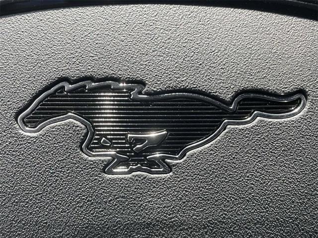 Photo of 2025 Star White Ford Mustang Mach-E
