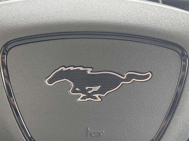 Photo of 2025 Glacier Gray Metallic Ford Mustang Mach-E
