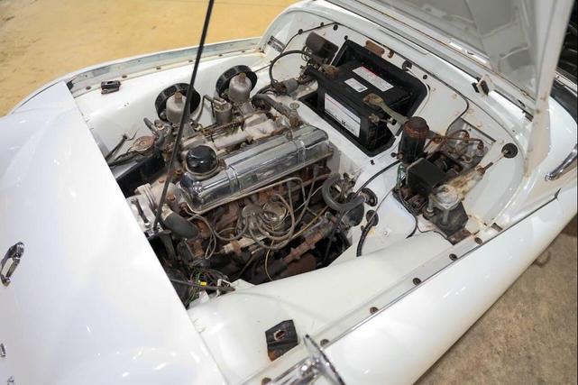 Photo of 1959 White Triumph TR3