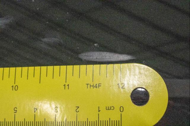 Photo of 2006 Black Porsche 911