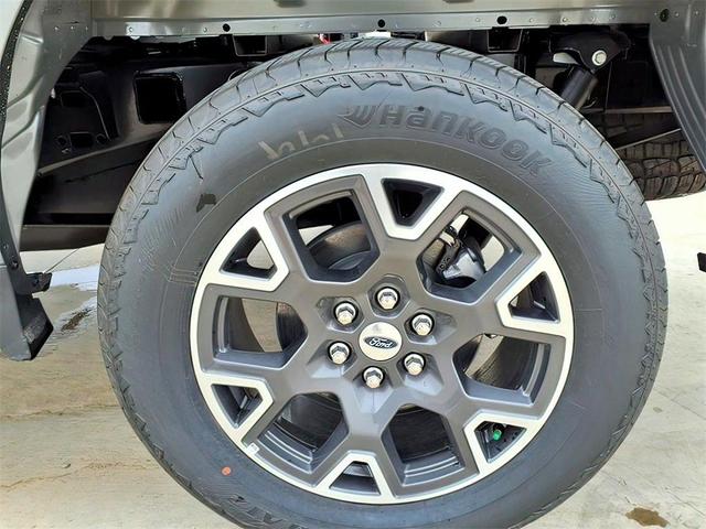 Photo of 2025 Carbonized Gray Metallic Ford F-150