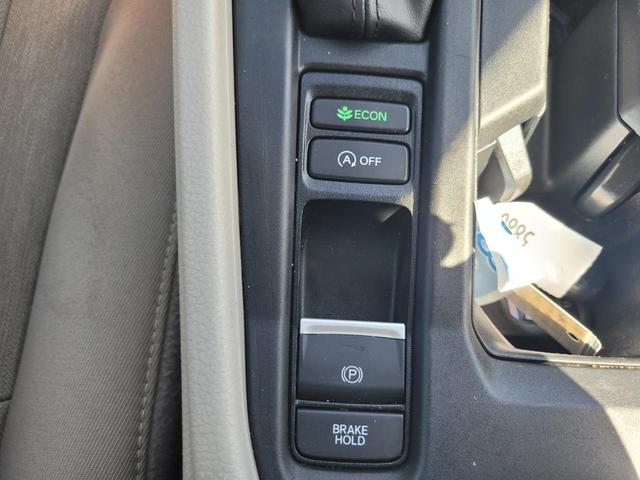 Photo of 2023 White Honda Accord