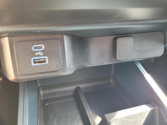 Photo of 2024 Cactus Green / Gray Ford Maverick