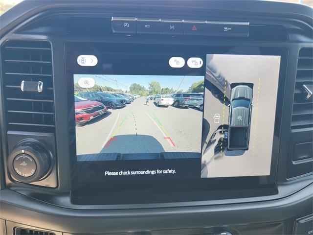 Photo of 2024 Gray Metallic Ford F-150