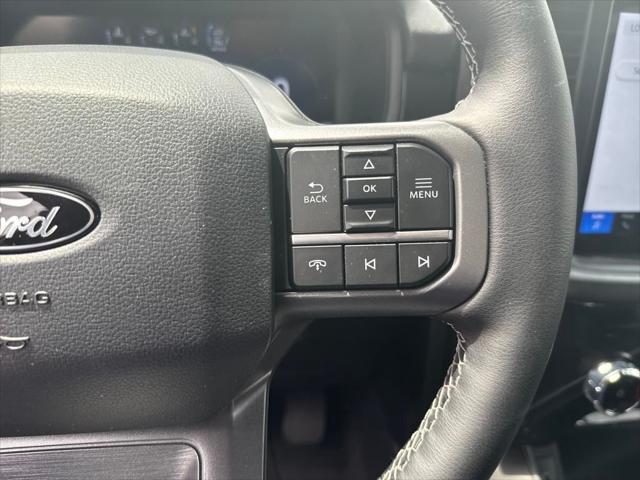 Photo of 2025 Gray Metallic Ford F-150