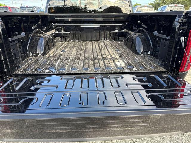 Photo of 2025 Black Metallic Ford F-150