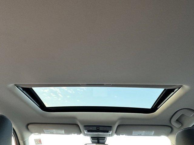 Photo of 2022 Scarlet Ember Nissan Altima