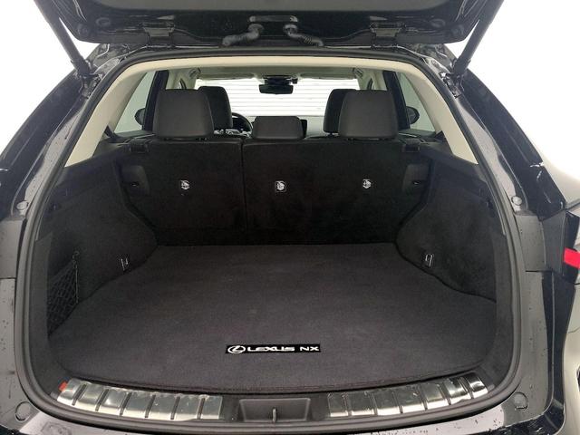 Photo of 2023 Black Lexus NX 350h