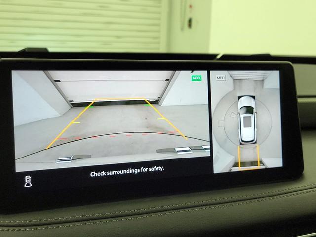 Photo of 2024 White INFINITI QX60
