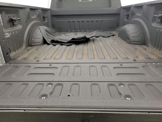 Photo of 2021 Silver Ford F-250