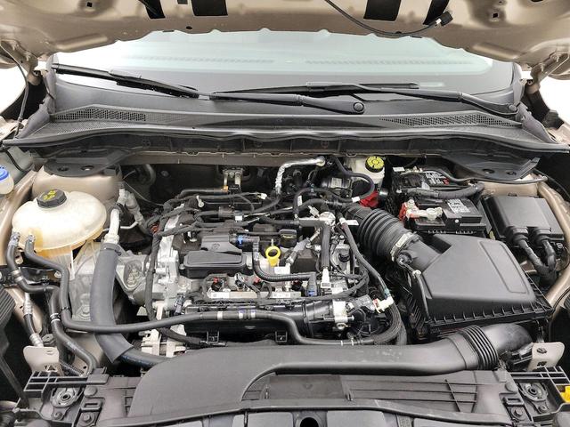 Photo of 2021 Gold Ford Escape