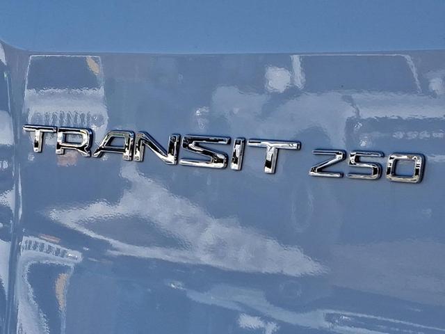 Photo of 2024 Oxford White Ford Transit-250
