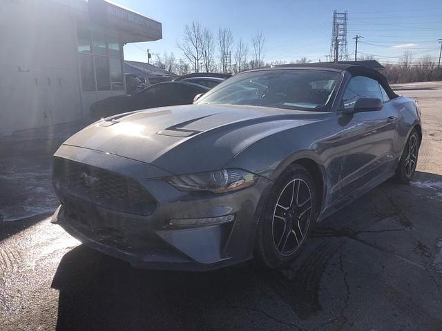 2022 Ford Mustang