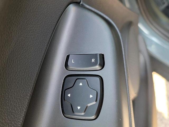 Photo of 2023 Cactus Fern Hyundai KONA