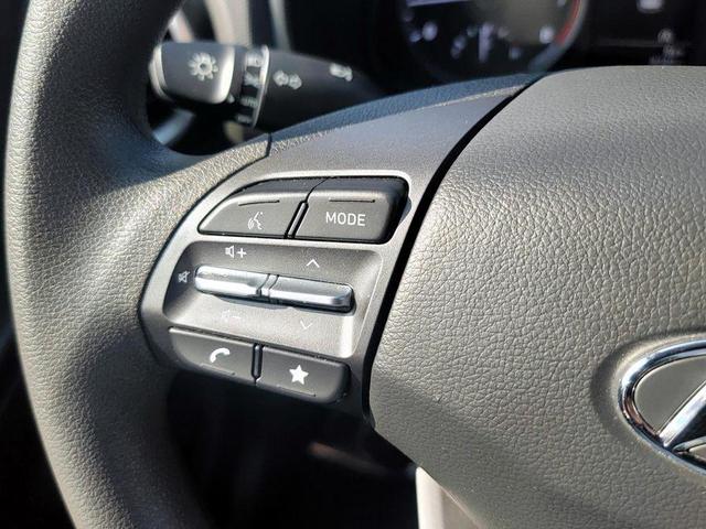 Photo of 2023 Cactus Fern Hyundai KONA