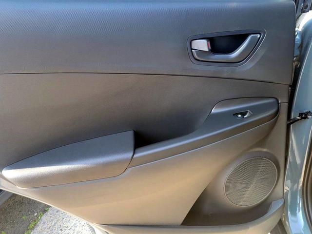 Photo of 2023 Cactus Fern Hyundai KONA