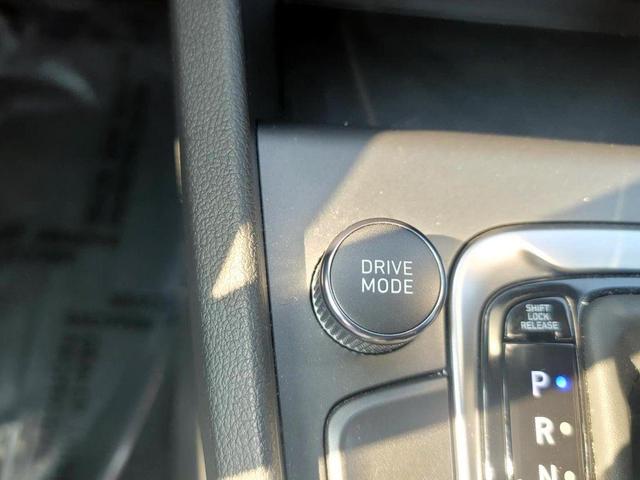 Photo of 2023 Cactus Fern Hyundai KONA