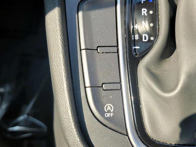 Photo of 2023 Cactus Fern Hyundai KONA