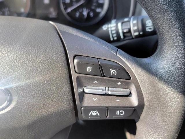 Photo of 2023 Cactus Fern Hyundai KONA