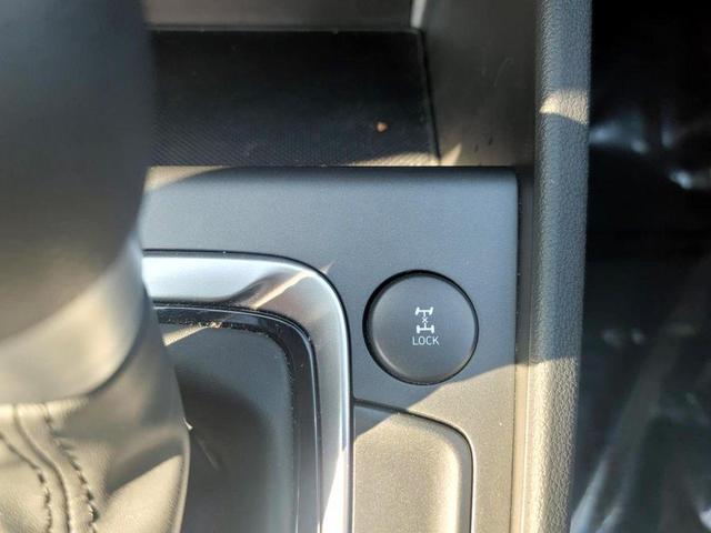 Photo of 2023 Cactus Fern Hyundai KONA