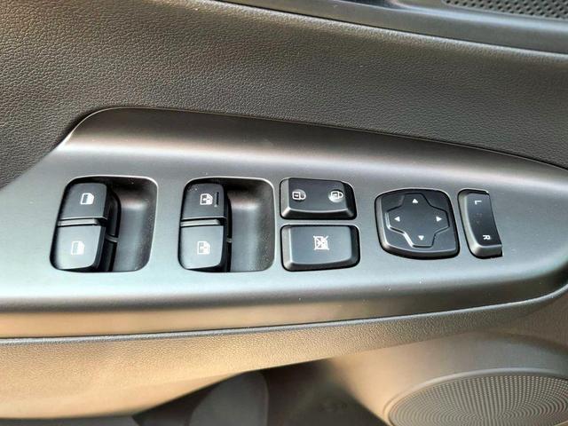 Photo of 2023 Cactus Fern Hyundai KONA