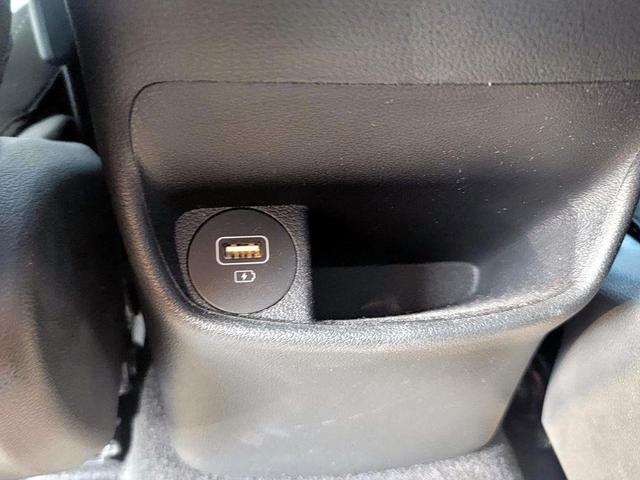 Photo of 2023 Cactus Fern Hyundai KONA