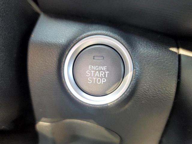 Photo of 2023 Cactus Fern Hyundai KONA
