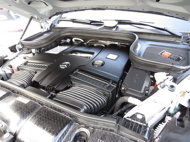 Photo of 2024 ALPINEGRY Mercedes-Benz GLS 580