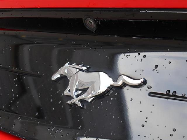 Photo of 2023 Race Red Ford Mustang