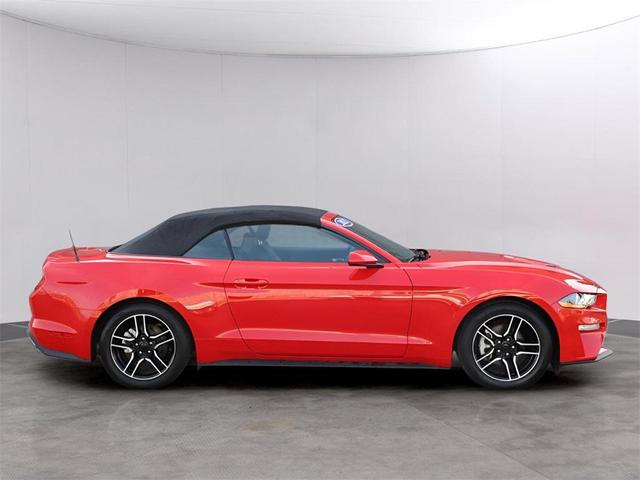 Photo of 2023 Race Red Ford Mustang