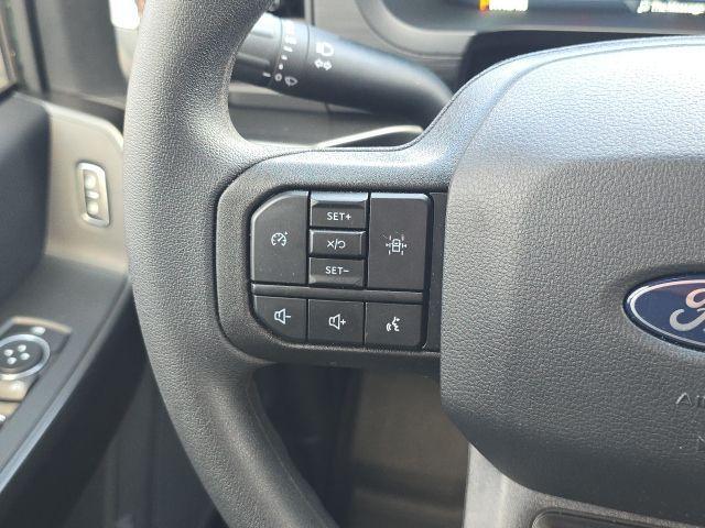 Photo of 2024 Gray Metallic Ford F-150