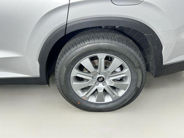 Photo of 2025 Typhoon Silver Hyundai PALISADE