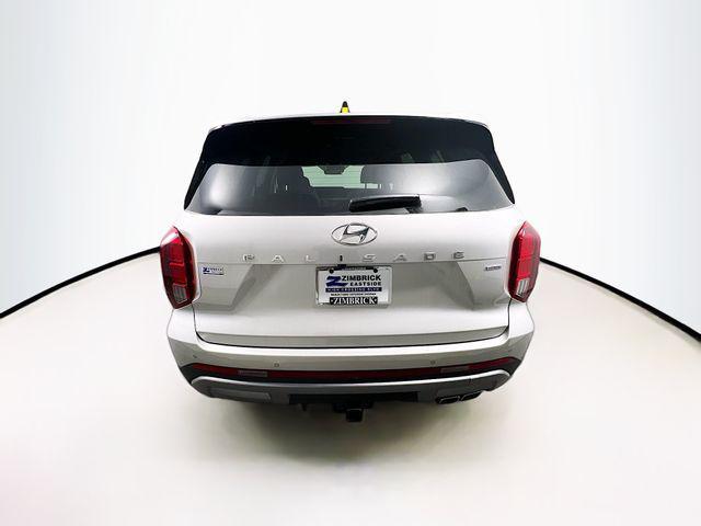 Photo of 2025 Typhoon Silver Hyundai PALISADE