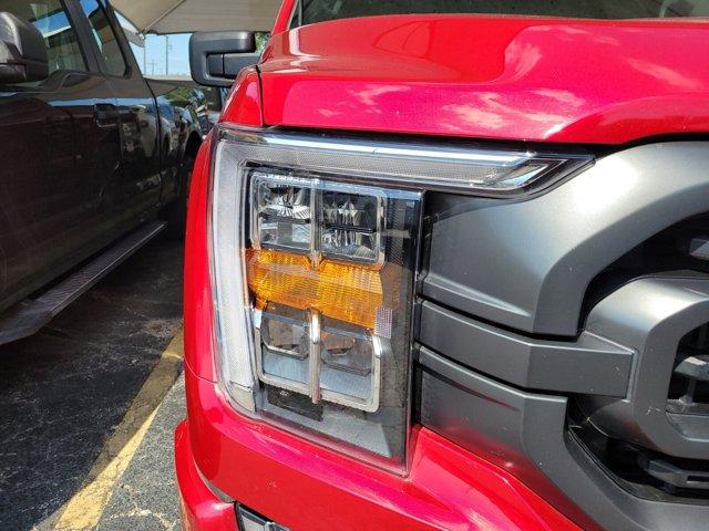 Photo of 2022 RAPID RED MET TINTED CC Ford F-150