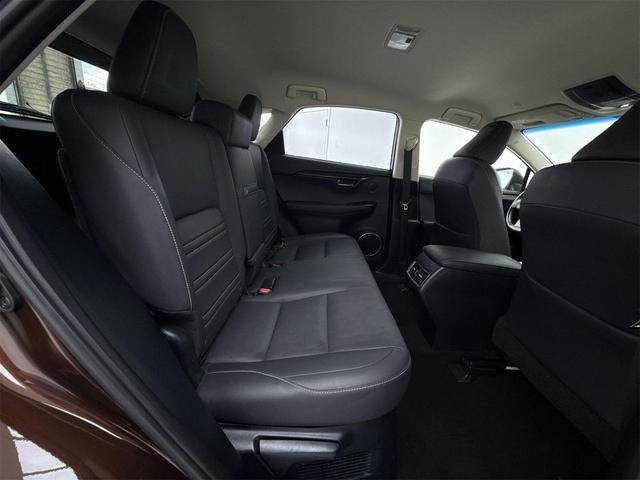 Photo of 2018 Autumn Shimmer Lexus NX 300