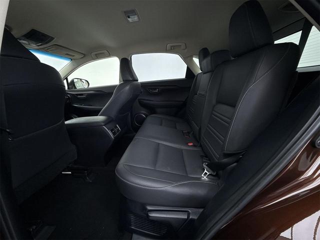 Photo of 2018 Autumn Shimmer Lexus NX 300