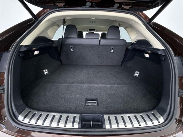 Photo of 2018 Autumn Shimmer Lexus NX 300