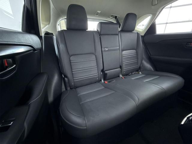 Photo of 2018 Autumn Shimmer Lexus NX 300