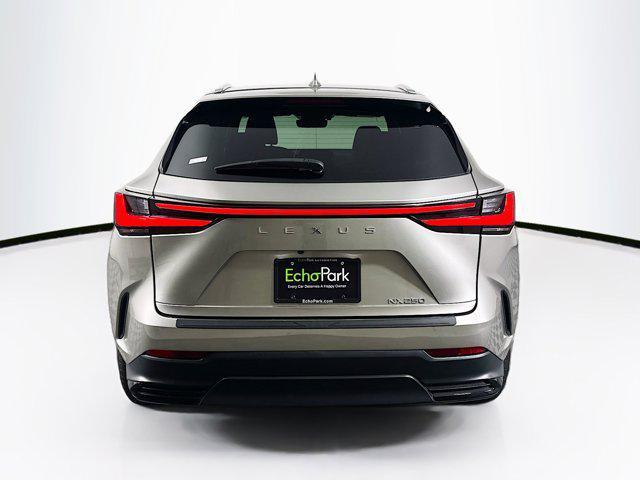 Photo of 2024 Atomic Silver Lexus NX 250