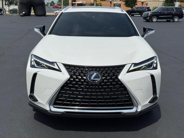 Photo of 2022 White Lexus UX 250h