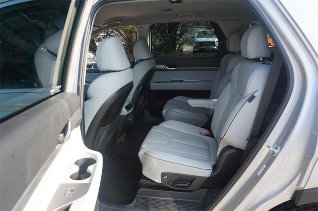 Photo of 2024 Typhoon Silver Hyundai PALISADE